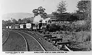 Train in Yarra Junction