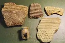 Image 38Fragments of prehistoric pottery from Kamabai Rock Shelter (from Sierra Leone)