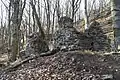 Ruins of monastery church