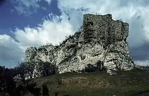 Przewodziszowice Castle