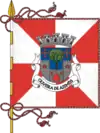 Flag of Oliveira de Azeméis