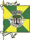 Flag of Tondela