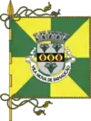 Flag of Vila Nova de Famalicão