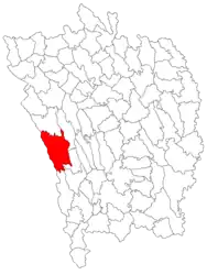 Location in Vaslui County