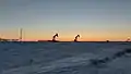 Silhouettes of pumpjacks at dusk on New Year's Day 2022