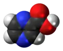 Space-filling model of the pyrazinoic acid molecule