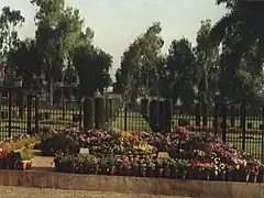 Quaid-e-Azam Medical College Landscaping