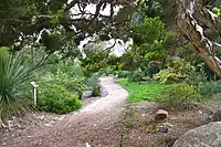 Path through gardens