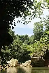 View of the river in Utuado