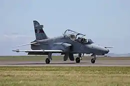 Single-engined two-seat jet on runway