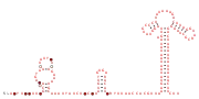 RAGATH-6 Secondary structure taken from the Rfam database. Family RF02686