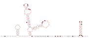 BTnc005 Secondary structure taken from the Rfam database. Family RF04178