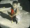 Local Hawaiian boy with fighting chicken, hand-painted glass plate photograph