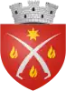 Coat of arms of Flămânzi