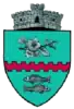 Coat of arms of Bunești