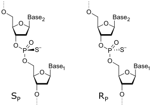 Phosphorothioates are the basis for antisense therapies.