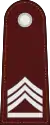 Police sergeant major