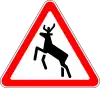 Animals (deer)