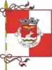 Flag of Rabo de Peixe