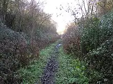 Lineage Wood & Railway Track, Long Melford