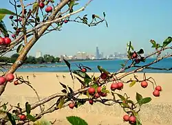 Rainbow Beach along the shore of Lake Michigan.