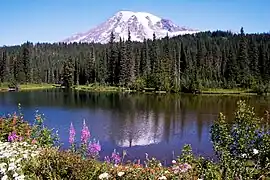 Mount Rainier, seen from the Clearwater Wilderness