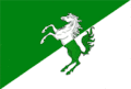 Flag of Fălești