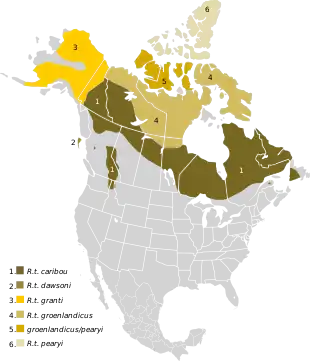 Approximate range of caribou. Dolphin and Union population occupy area 5 and parts of area 4. Overlap with other subspecies of caribou is possible for contiguous range. 1. Rangifer tarandus caribou subdivided into ecotypes: woodland (boreal), woodland (migratory), woodland (montane), 2.R. t. Dawsoni extinct 1907, 3. R. t. groenlandicus, 4. Barren-ground caribou R. t. groenlandicus, 5. R. t. groenlandicus 6. Peary caribou R. t. pearyi