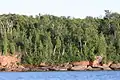 Trees lining the shore