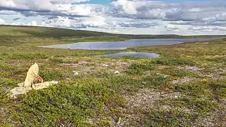 The Finnish-Norwegian border closely follows the watershed at the source.