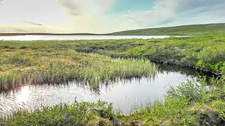 The river at its source Lake Nuorttit Rávdojávri.