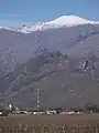 View of Rawsonville village, with Goudini Sneeukop mountain (nicknamed 'Sneeukoppie') beyond