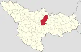 Location in Timiș County