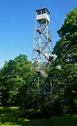 A silvery metal lattice tower, narrowing to a small enclosed cabin with windows on the top, in a clearing in some woods