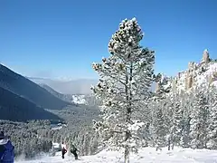 Image 42The Palisades area on the north end of the ski area at Red Lodge Mountain Resort (from Montana)