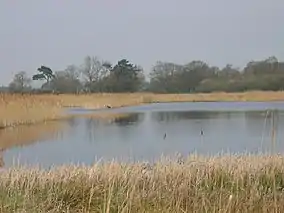 Redgrave and South Lopham Fen