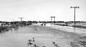 Photo of flat ground, largely covered with shallow water; poles, shrubs, and grasses projecting above surface