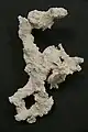 Rhizolith sample, Late Galasian Limestone ~1.5 MA, Rio Lagartos, Yucatán Peninsula