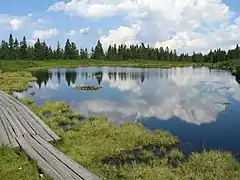 Image 7Lake Ribnica on Pohorje