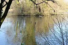 Batchworth Lake