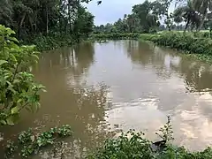 The canal on the right side of Gunahar Zamindar Palace