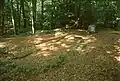 Dolmen in the forest