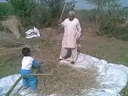 Hard work in fields