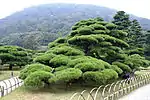 Landscape in Ritsurin Garden