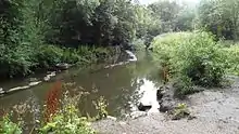 Photograph of the River Crane