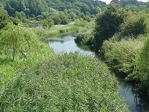 A river flowing through green countryside