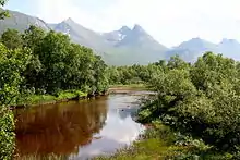 River in the Forfjord valley.