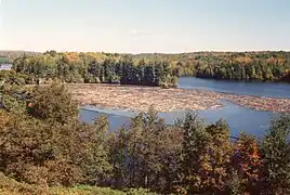 Saint-Maurice, lumber floating, (formerly Saint-Jean-des-Piles) Shawinigan 1994