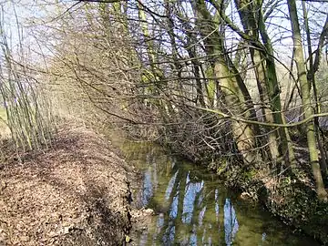 Woluwe stream