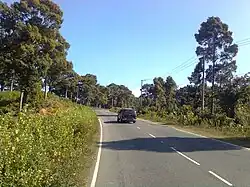 Road through Chakoria Baniachora forest